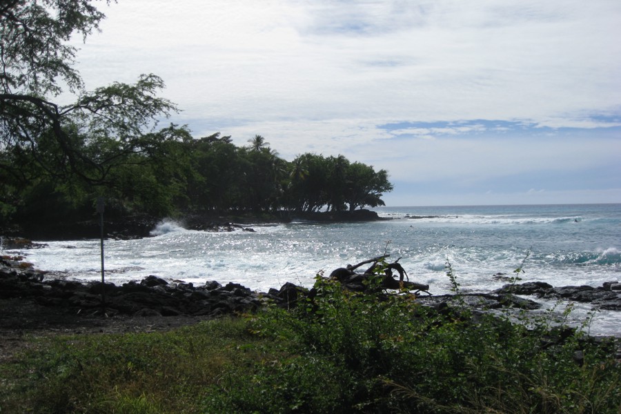 ../image/kona shoreline 1.jpg